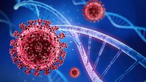 PILNE! Omikron ZARAŻA zaszczepionych! WHO oficjalnie to przyznaje!