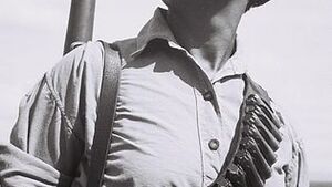 Relacje II RP z żydowską Palestyną