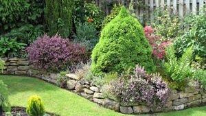 Ogródki skalne i kwiatowe - czym się kierować przy wyborze roślin do ogrodu?