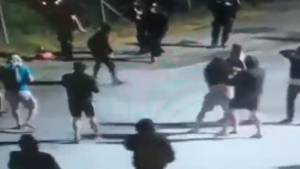 BRUTALNE starcia policji z kibicami! Dziesiątki rannych [WIDEO]