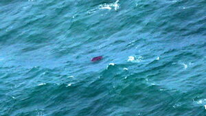 Katastrofa samolotu na Kubie