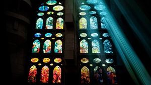 Żywe dowody na istnienie Boga