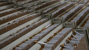 Policja rozbiła gang przemytników i producentów nielegalnych papierosów