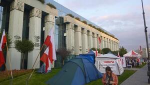 Irlandia na haju - sądy w amoku