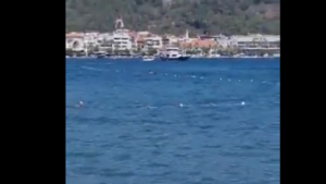 Nietypowe nagranie z mopem obiegło sieć! Musisz to zobaczyć (WIDEO)