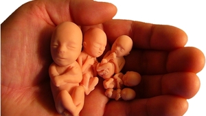 Apel Prezydium Episkopatu ws. zatrzymania aborcji eugenicznej