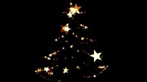 Niemcy przed Świętami - betonowe choinki już są - imigranci przyniosą bombki 