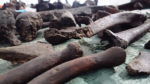 Archeolodzy obrażają 80 tys. poszukiwaczy