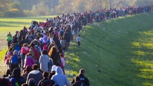 Jak imigranci nie chcą jeść to niech nie jedzą, a jak chcą uciec do Niemiec to trzeba ich podrzucić (FELIETON)