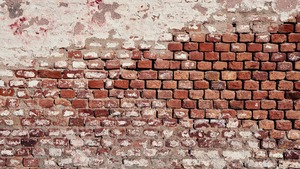 Badania przed decyzją o pomyślności zabiegu wycięcia polskości?