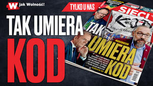 Wsieci pisze o problemach Kukiz'15