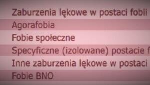 Homo. Fobia. Tolerancja. Płciowość. Sondaże. Babel?