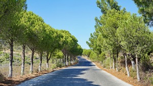 Dlaczego pielęgnacja skóry latem jest ważna?