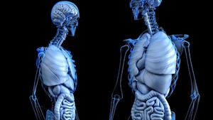 Przypominamy wszystko co powinniście wiedzieć o seksie, a co lewica przed wami ukrywa