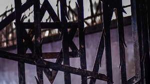 Zdradzamy tajemnice kłamstw głoszonych przez rewizjonistów holocaustu