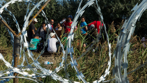 W kwestii imigrantów Niemcy murem za Polakami, Węgrami i Czechami, przeciwko własnemu rządowi