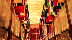 Radykalna zmiana w definicji płci. Ideologia gender może zostać wpisana do wiążącego traktatu międzynarodowego