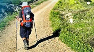 Ten szlak jest bliżej niż myślisz!