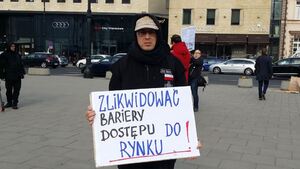 Demonstracja przeciwko ograniczaniu wolności runku usług transportowych [ZDJĘCIA]