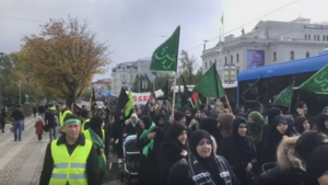 Nieźle! Marsz Niepodległości po szwedzku