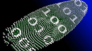 Zabezpieczenia biometryczne zagrażają Polakom