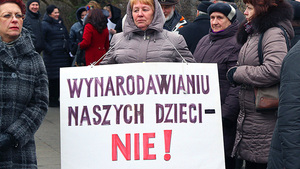 MSZ Polski nie podejmie żadnych konkretnych działań w sprawie poprawy sytuacji Polaków na Litwie