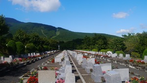 Proboszcz z  Włoch: „Wielkanocne triduum w kwarantannie i trumny złożone w kościele na kremację”