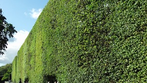 Najlepsze atrakcyjne turystyczne w Gdańsku