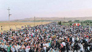 83% gwałtów w Danii popełniają imigranci!