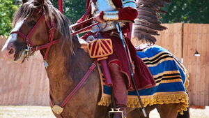 Husaria przejdzie ulicami Wrocławia