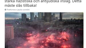 Szwedzki minister... chce zrobić porządek z Marszem Niepodległości