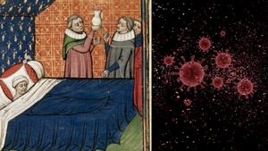 Angielskie poty – ogromna zaraza na Wyspach wywołana hantawirusem... którego nie ma. I nie wiadomo, czy był