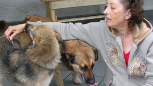 Sowińska: Organizacje prozwierzęce potrafią kręcić biznesy na tzw. interwencjach. Sprawdź na co idą Twoje pieniądze!