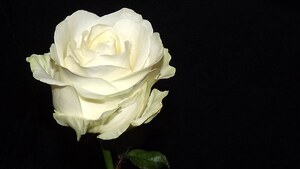 Ks. Tadeusz Isakowicz-Zaleski o ostatnim pożegnaniu śp. Pawła Chruszcza