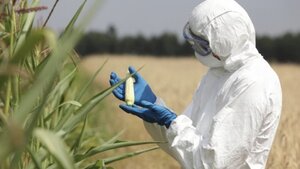 Koncern Monsanto odpowie z zbrodnie przeciwko ludzkości