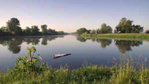 Niemcy oskarżają Polskę w sprawie Odry