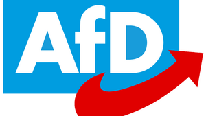 Zamieszanie wokół partii AfD. Jaka jest prawda?