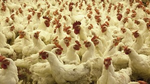 Konspol - kolejna polska firma sprzedana w obce ręce