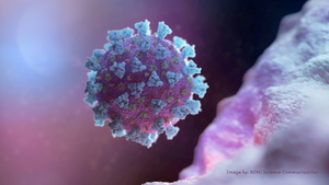 PIĄTA FALA od połowy stycznia?! Epidemiolodzy znów straszą OMIKRONEM! 