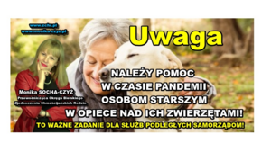 Czy seniorzy mogą liczyć na pomoc w opiece nad zwierzętami domowymi w czasie pandemii?