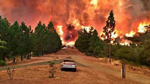 Czym dziś oddycha Ameryka?