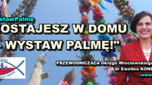 Chadecy proponują akcję: „ZOSTAJESZ W DOMU – WYSTAW PALMĘ!”. 