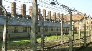 Muzyk z orkiestry obozowej w Auschwitz