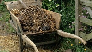 Broniarz mięknie - "osobiście" jest za klasyfikacją uczniów