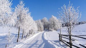 Osiedlają imigrantów ale... za kołem podbiegunowym