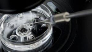 Koniec z finansowaniem in vitro z budżetu państwa i dostępnością pigułek wczesnoporonnych!