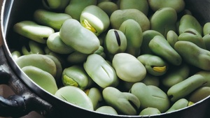 BÓB I JEGO CENNE WŁAŚCIWOŚCI