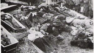 Spalili żywcem 30 dzieci. Rocznica niemieckiej zbrodni w Szarajówce