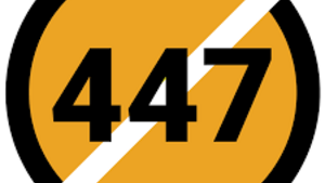 SKANDAL! 5 minut dla STOP 447! Tyle daje Sejm... 