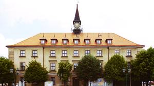 Bo ja z zawodu to jestem samorządowcem i prezesem cz. 1. 